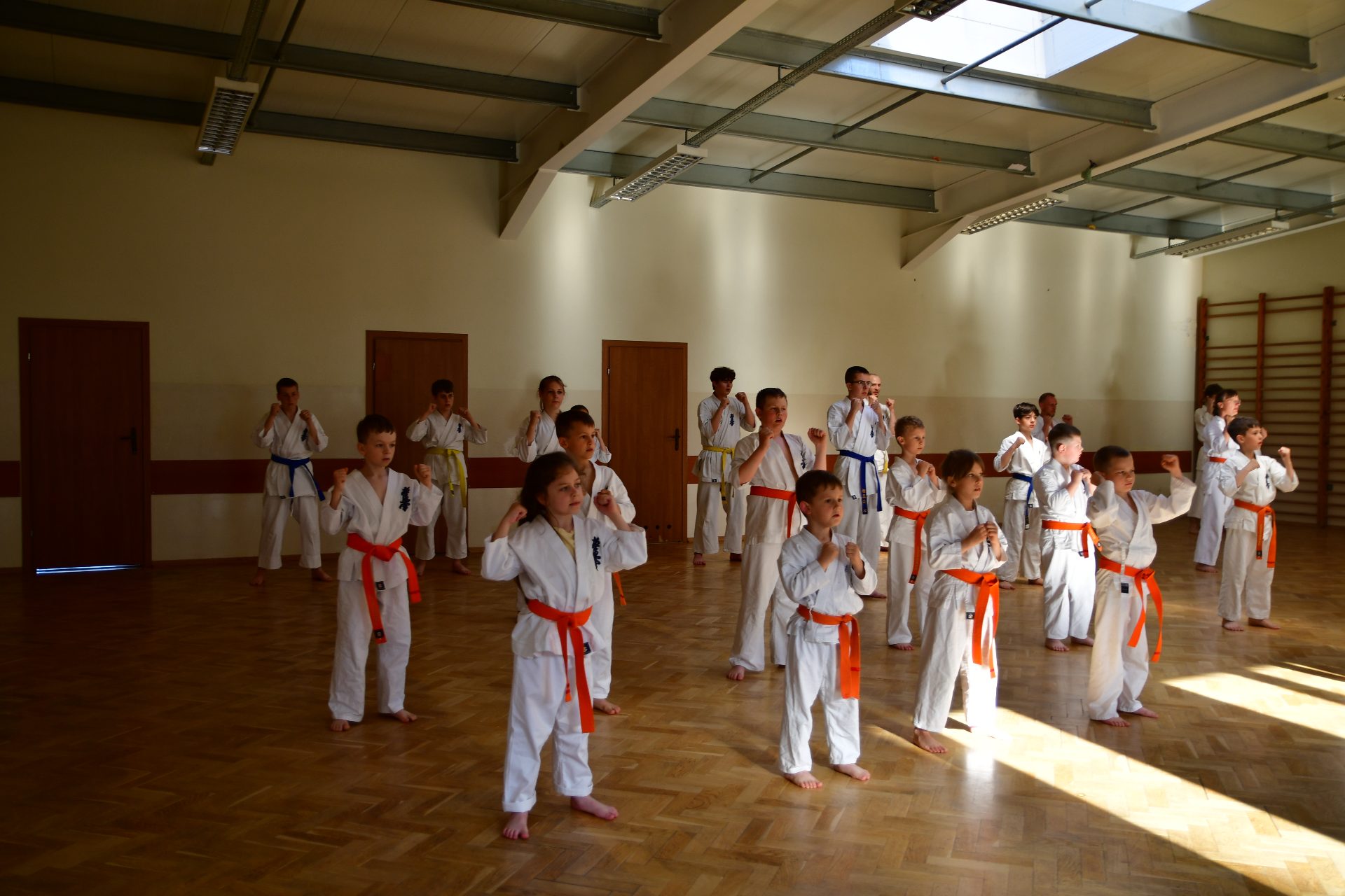 Zajecia karate