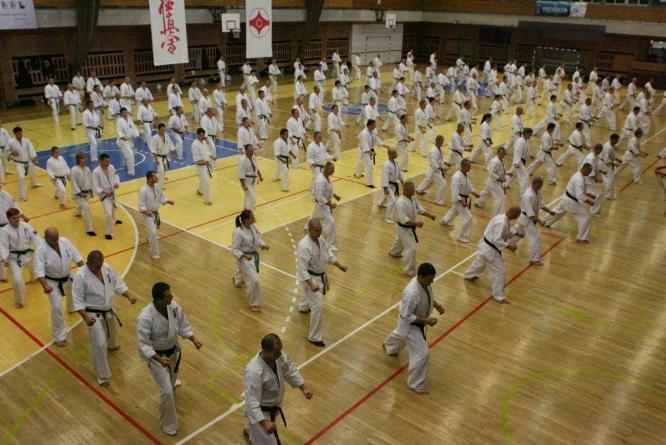 Letni Obóz Kyokushin w Krakowie